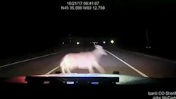 The patrol car's hood went into the windshield and the front end was mangled. But the deputy survived. The patrol car's hood went into the windshield and the front end was mangled. But the deputy survived.