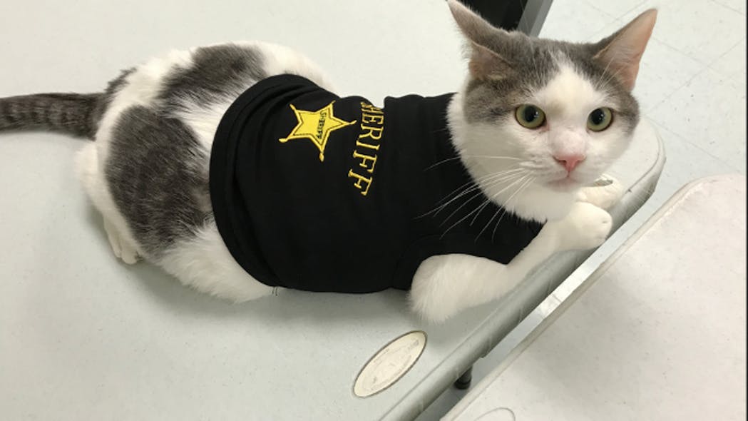 Deputy Peanut
