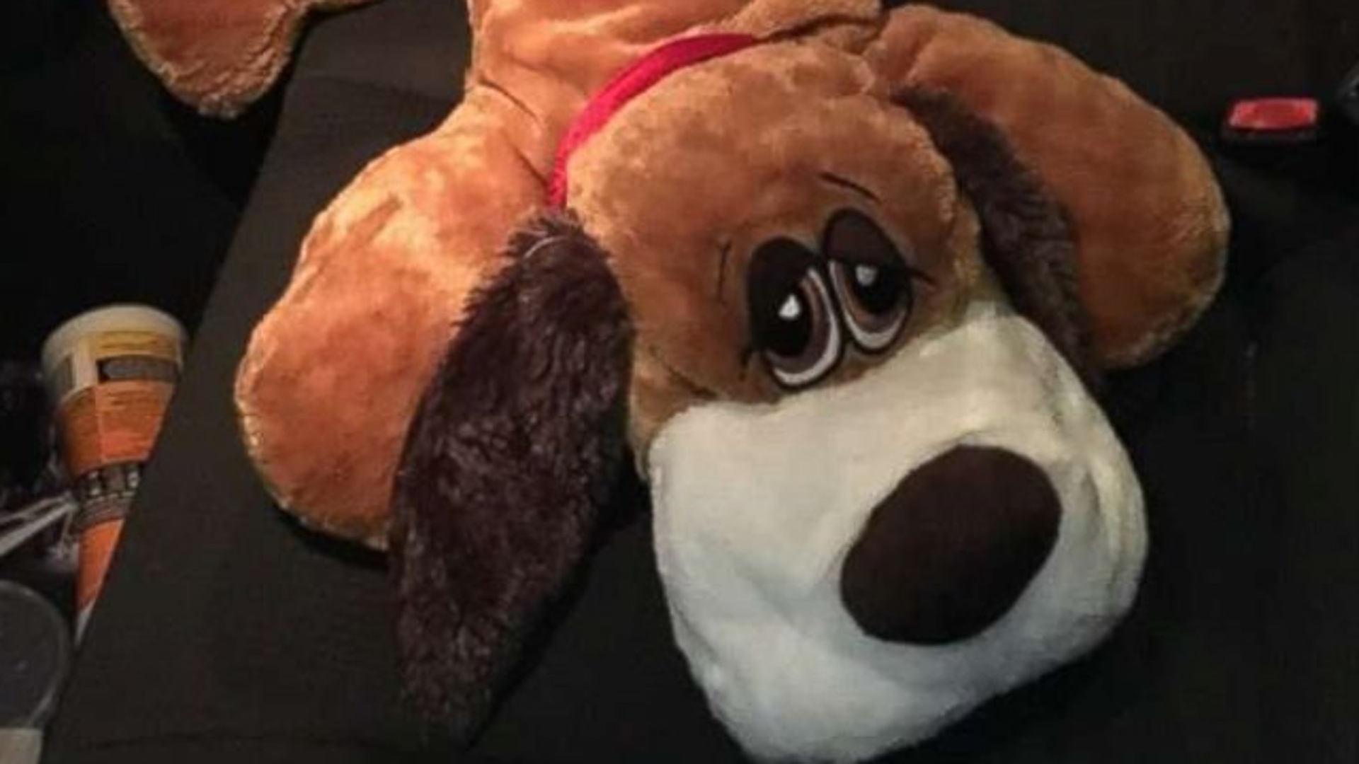 Stuffeddog