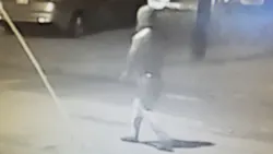Interim Tampa Police Chief Brian Dugan shared new video of a person in a hooded sweatshirt walking down a street near where the first victim, Benjamin Mitchell, was shot on Oct. 9. Interim Tampa Police Chief Brian Dugan shared new video of a person in a hooded sweatshirt walking down a street near where the first victim, Benjamin Mitchell, was shot on Oct. 9.