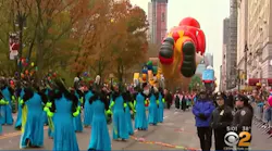 Paradesecurity