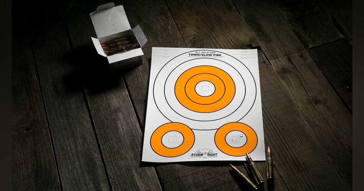 Weather-Resistant Paper Shooting Targets Storm Sight All-Weather ...