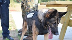 Premier Body Armor (premierbodyarmor.com), a US made, LE specific company, will be at SHOT this year. They will release their new K-9 vest, which features NIJ Level IIIA panels, a crowd control handle, D rings, and removable ID patches. The photo here is an early release, so LET readers are seeing it first. Premier Body Armor (premierbodyarmor.com), a US made, LE specific company, will be at SHOT this year. They will release their new K-9 vest, which features NIJ Level IIIA panels, a crowd control handle, D rings, and removable ID patches. The photo here is an early release, so LET readers are seeing it first.