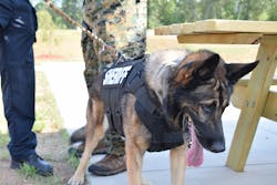 Premier Body Armor (premierbodyarmor.com), a US made, LE specific company, will be at SHOT this year. They will release their new K-9 vest, which features NIJ Level IIIA panels, a crowd control handle, D rings, and removable ID patches. The photo here is an early release, so LET readers are seeing it first.