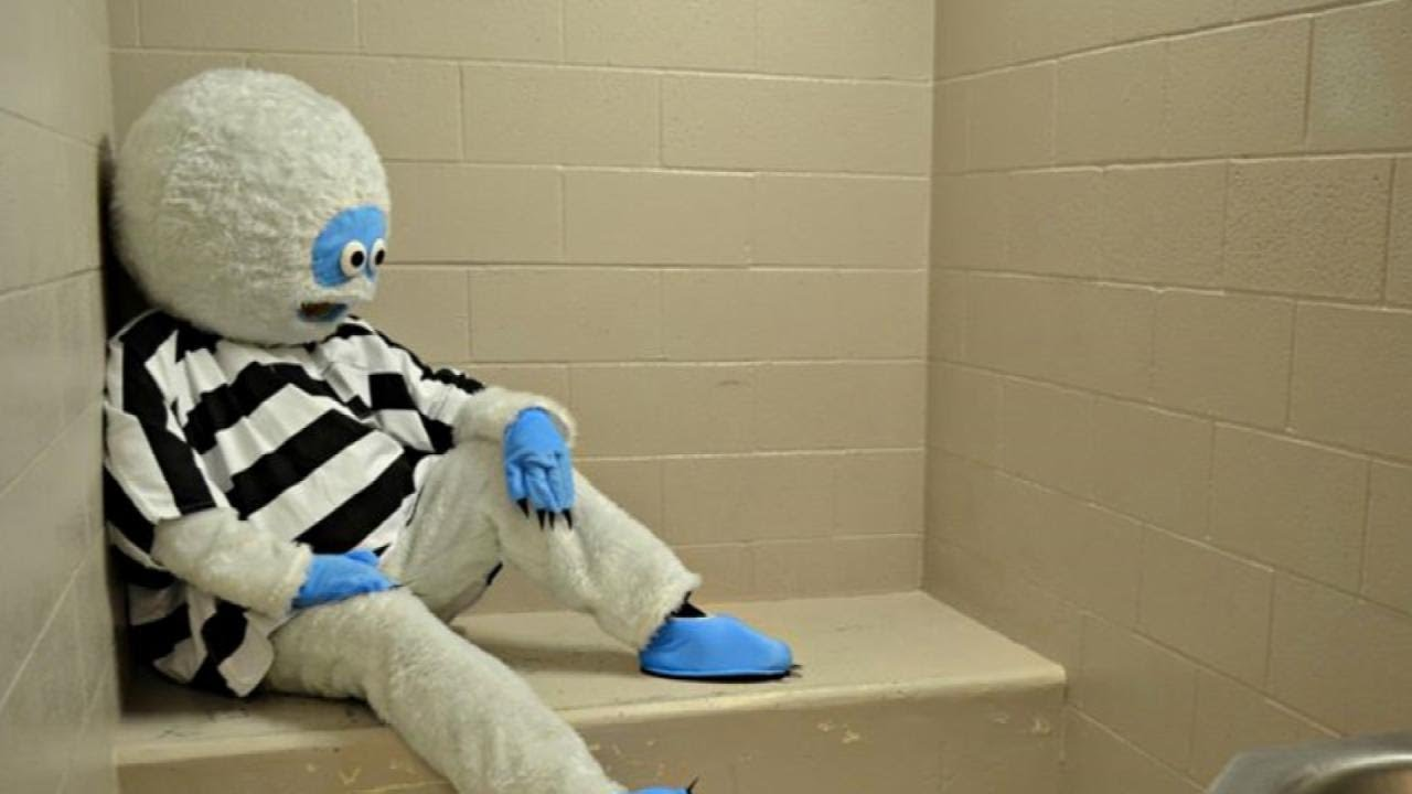 Abominable Snowman Booked on DUI Charge | Officer