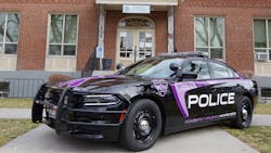 Imgp2712 5a7b4f9d87607 Imgp2712 5a7b4f9d87607