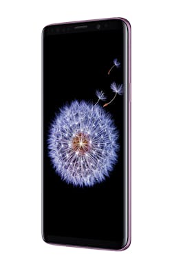 Att 19 T01r R30 Purple Dandelion Rgb 01 Att 19 T01r R30 Purple Dandelion Rgb 01