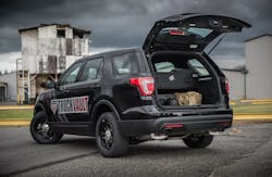 Suv Series Elevated Line Utility1 Drawer 2017 Ford Explorer Fleet Interceptor 4 5a78b56b1f31d Suv Series Elevated Line Utility1 Drawer 2017 Ford Explorer Fleet Interceptor 4 5a78b56b1f31d