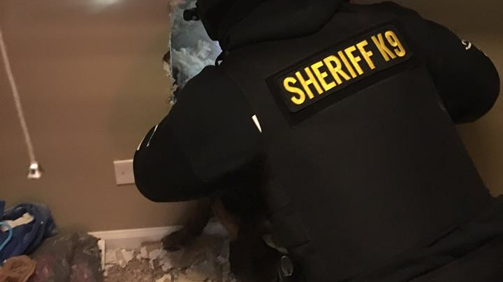 Deputies smash through a wall to apprehend Matthew T. Heidbrick on a warrant at his home on March 8.