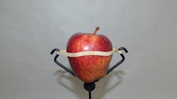 Hold Zall Target Holding System 08 5ac67346b51f3 Hold Zall Target Holding System 08 5ac67346b51f3