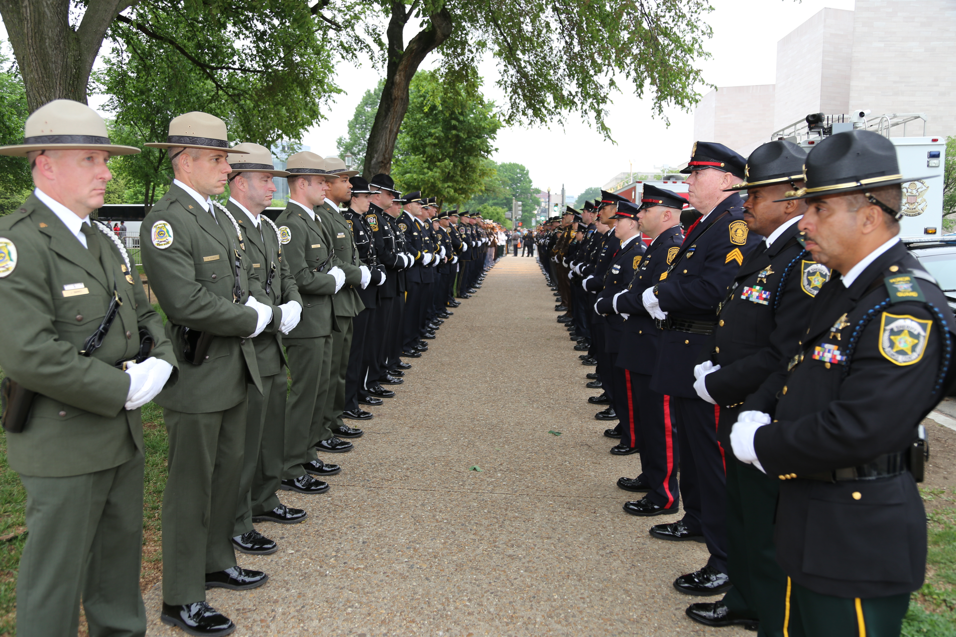 Img 1327 5b1eb8fedf135