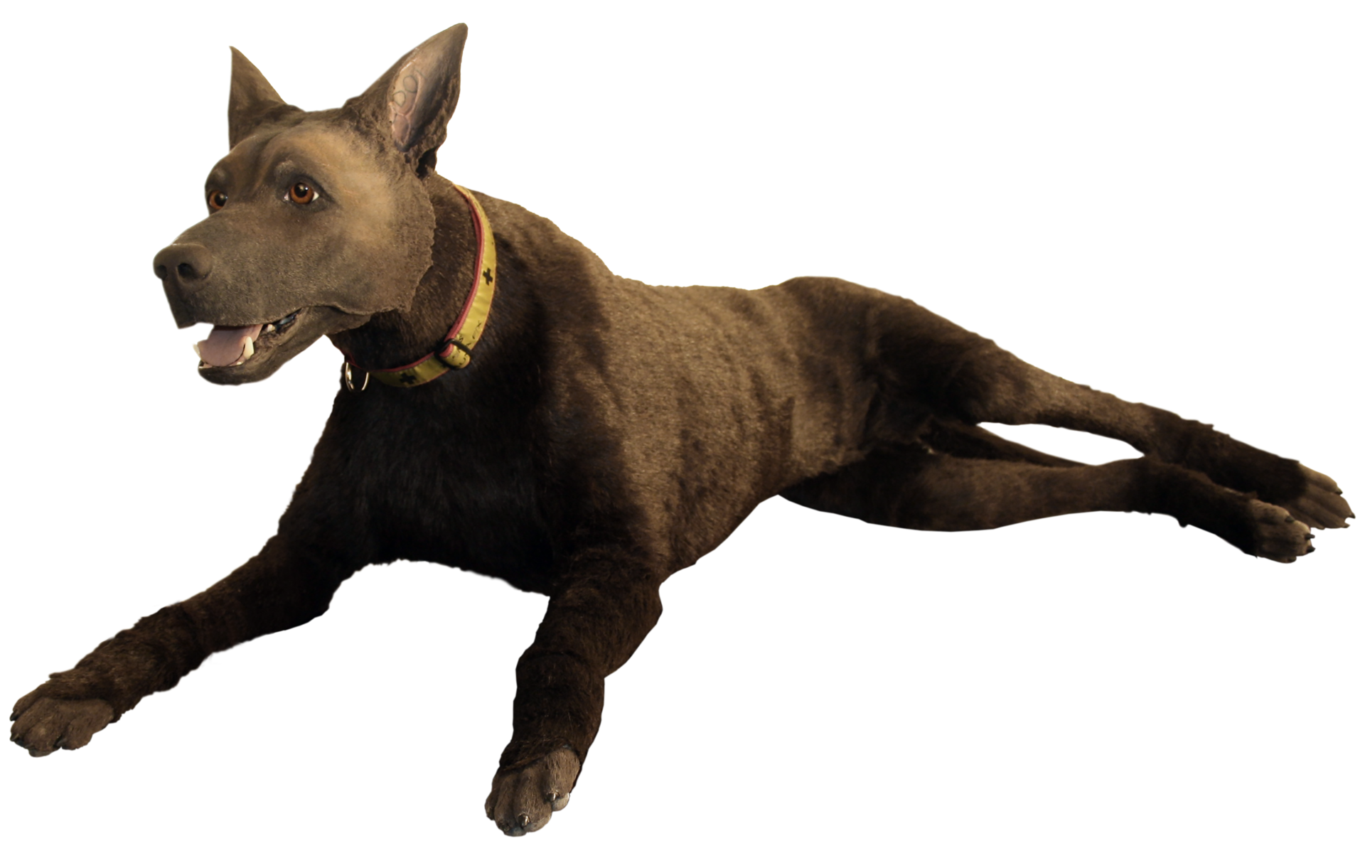 K9 Diesel 5b2d21e8e3c8c