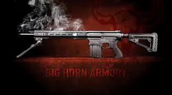 Bighorn