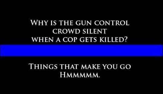 Gun Control Meme 5b1e92ba59dc3