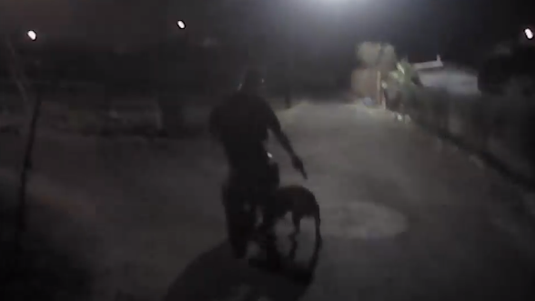 The Maricopa County Sheriff's Office on Wednesday released body camera video from an incident in which a deputy shot and killed a dog that attacked his K-9 partner.