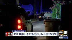 K9attacked