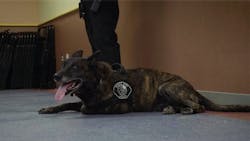 Quietwarrior 5b854ebe1a0d2 Quietwarrior 5b854ebe1a0d2