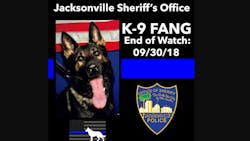 Jacksonville Sheriff's K-9 Fang police dog was shot and killed while pursuing an armed carjacking suspect Sunday on the city's Westside. Jacksonville Sheriff's K-9 Fang police dog was shot and killed while pursuing an armed carjacking suspect Sunday on the city's Westside.