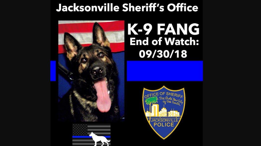 Jacksonville Sheriff&apos;s K-9 Fang police dog was shot and killed while pursuing an armed carjacking suspect Sunday on the city&apos;s Westside.