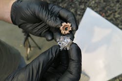 Fig Cover Wd 5c07febb9e77e Fig Cover Wd 5c07febb9e77e