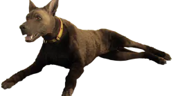 K9 Diesel is an advanced medical simulation trainer that improves the ability of first responders and veterinary professionals to save working dogs’ lives. The simulator includes 28 different features and medical intervention sites.