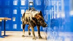 Core K 9 Action 045 5c3e3d206ed54 Core K 9 Action 045 5c3e3d206ed54