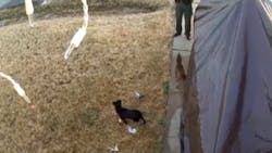 A chihuahua was in stable condition awaiting surgery at a Little Rock emergency veterinarian clinic after a recently-fired Faulkner County Sheriff's Office deputy shot her in the face Friday evening A chihuahua was in stable condition awaiting surgery at a Little Rock emergency veterinarian clinic after a recently-fired Faulkner County Sheriff's Office deputy shot her in the face Friday evening