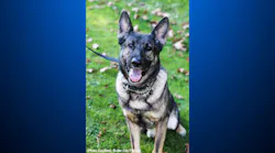 K-9 Gunner