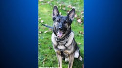 K-9 Gunner K-9 Gunner