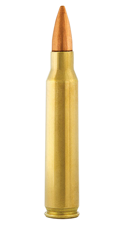 556 Shell Line Aguila Ammunition Now Offering Bulk 5.56 Rifle Ammo | Officer