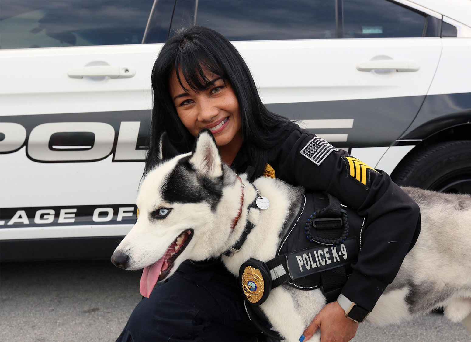 Beloved Husky is fired from police job when his human is caught in ...