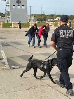 Concert Edc5 5c59c53161f1b Concert Edc5 5c59c53161f1b