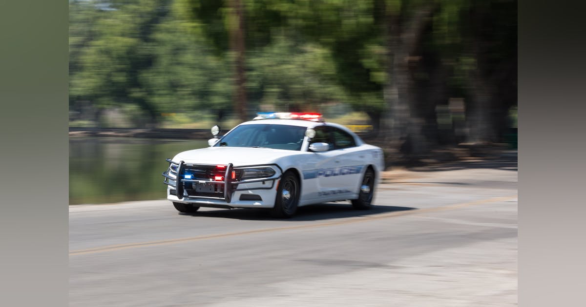 Police car push bar sales