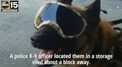 K9