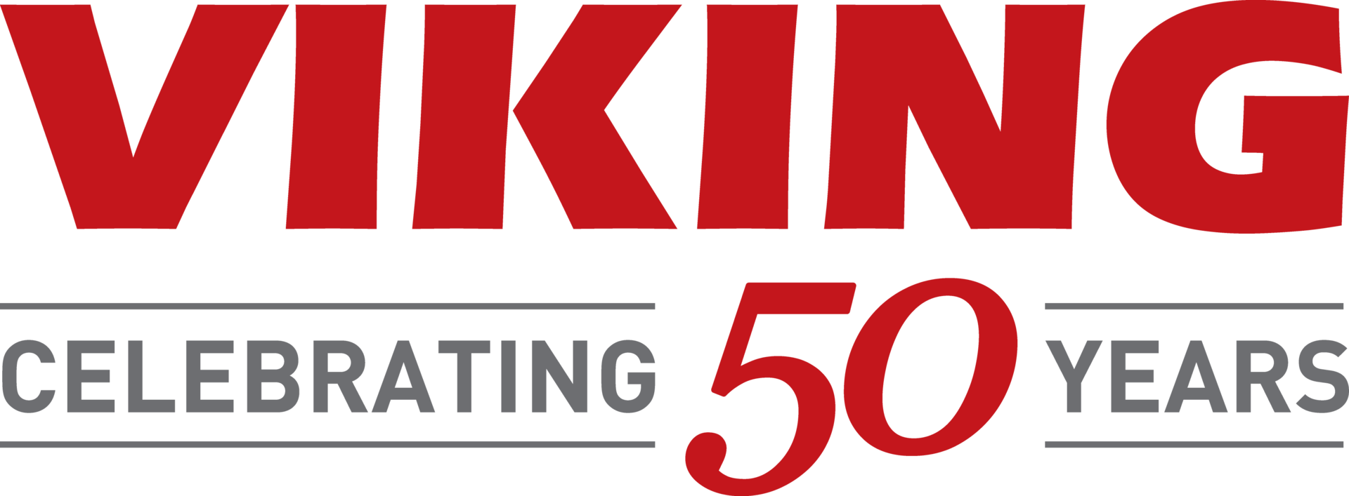 Viking Logo50(1000x400)