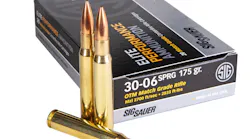 175gr 30 06 Elite Match