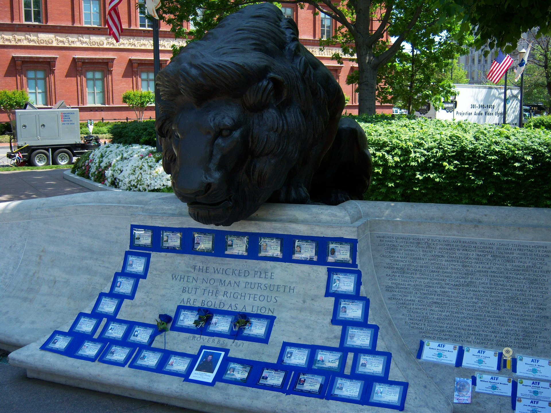 100 0973 5cd973a4dc81b