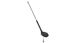 F 33404 Dual Band Disguised Antenna