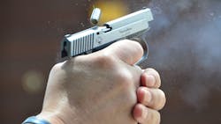 The Guardian .32 The Guardian .32