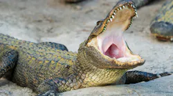 The Loretto Police Department is warning residents that drugs discarded down a toilet could create 'meth-gators' after a man was found trying to flush evidence over the weekend.