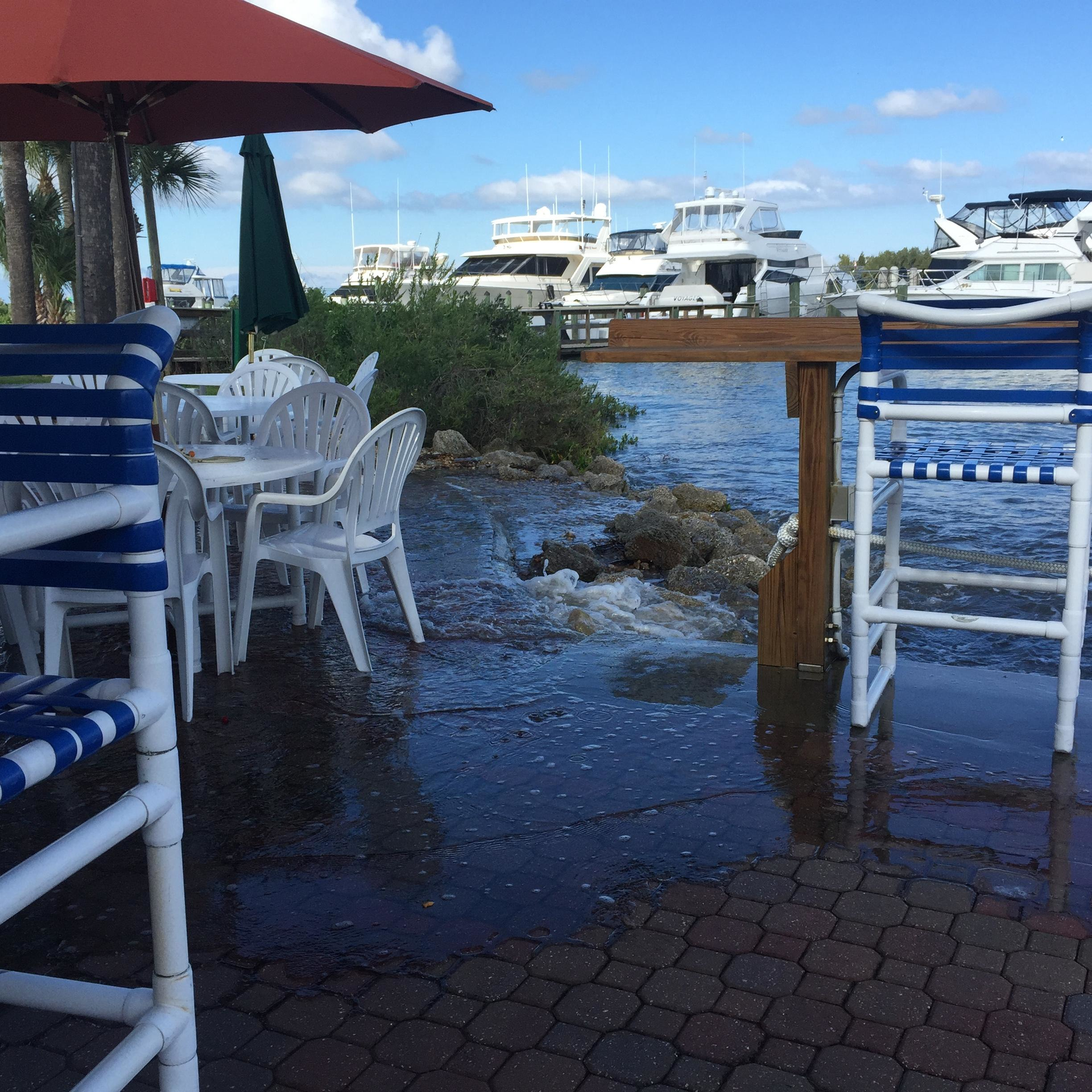 Us News Climate Group Fighting Sea Level 1 Dbn 5d37a4fe6bef0