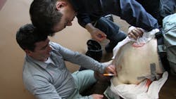 Students discuss placement of a chest decompression needle on a simulated tension pneumothorax causing injury. Students discuss placement of a chest decompression needle on a simulated tension pneumothorax causing injury.