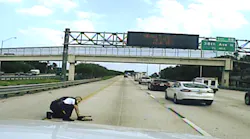 Pinellas Park Police Officer Joe Pugila sprang into action after he observed a dog struck by a vehicle while trying to cross a highway last week and it was all caught on dashboard camera video.