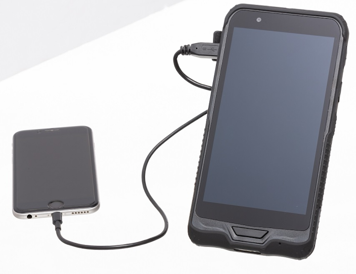 Portable