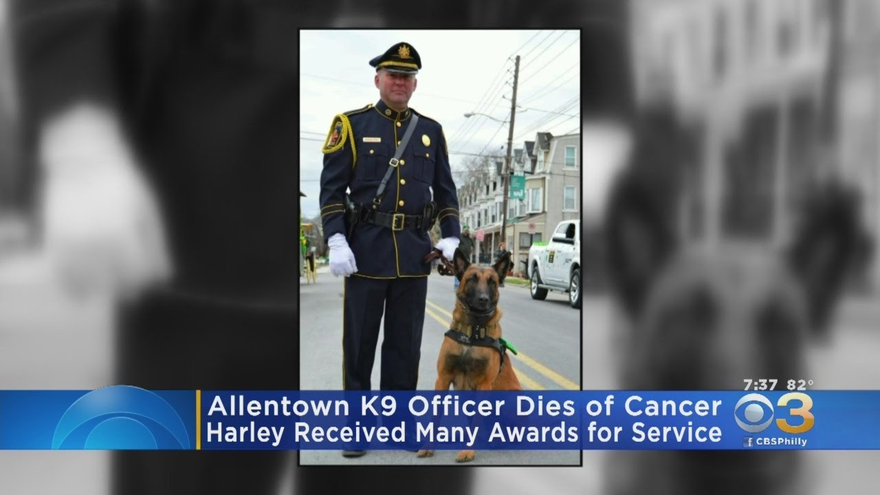 Pennsylvania Police Mourning Death Of K-9 | Officer