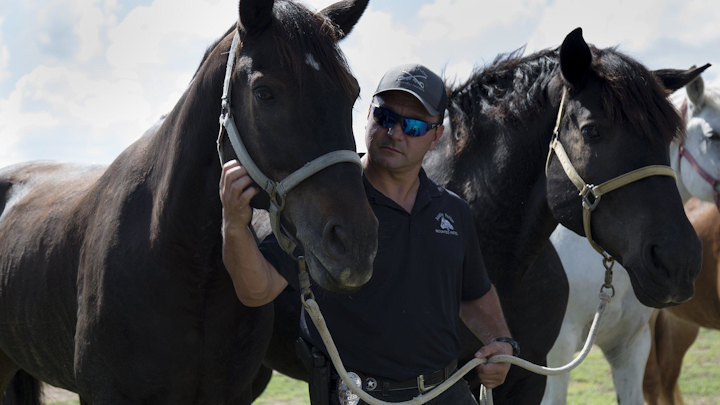 Cpl. Al Garibay with the Austin Police Department, holds two horses during a ceremony last year in Manor. Voters will decide on a constitutional amendment that would revise how local governments handle dogs and horses when they retire from law enforcement.