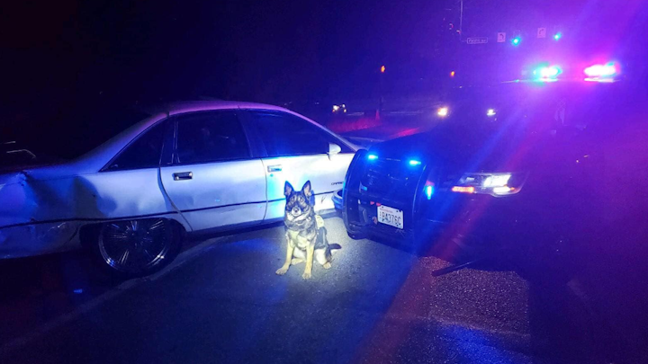 A 60-year-old man was arrested for a slew of criminal offenses Tuesday night, including felony hit-and-run, after he hit a Thurston County Sheriff’s deputy with his vehicle, charging documents show.