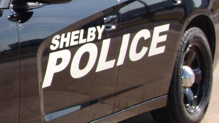 A Shelby police officer responding to a call of a possibly rabid raccoon used his patrol car to run over the animal several times, killing it.