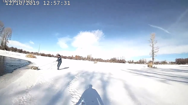 A deer that got stuck in an iced-over pond in Wyoming was rescued by rope-toting deputies on Tuesday, authorities said.