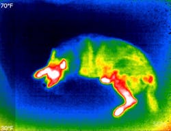 Thermal imaging takes into consideration an objects heat source making it easier to see what the object is.